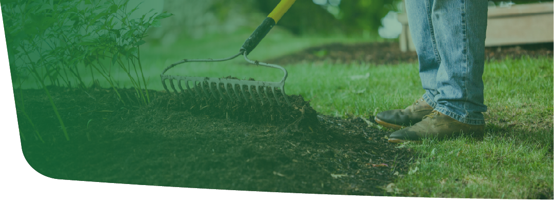 Landscaping contractor using a rake to spread barkdust